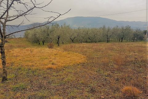 Villa i Lucca, Lucca, Lucca - € 395.000 | Ref: 5882 - foto 2