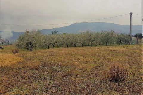 Villa i Lucca, Lucca, Lucca - € 395.000 | Ref: 5882 - foto 3