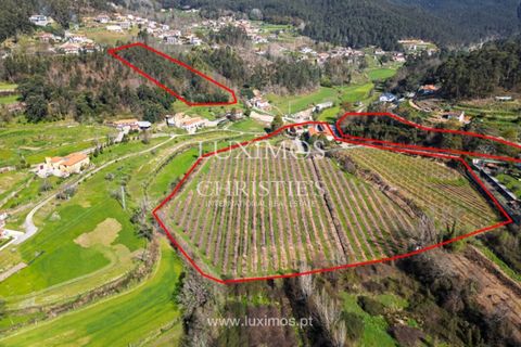 Erhvervsejendom i Arouca, Aveiro, Arouca - € 1.950.000 | Ref: LS05407 - foto 2