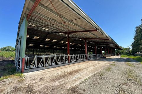 Villa i Bellac, Haute-Vienne, Bellac - € 1.872.000 | Ref: AM-4755 - foto 3