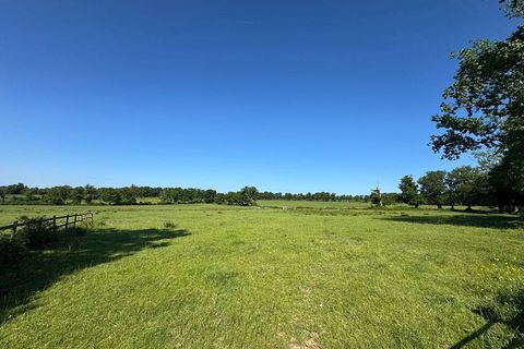 Villa i Bellac, Haute-Vienne, Bellac - € 1.872.000 | Ref: AM-4755 - foto 4