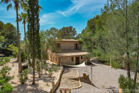 Finca i Arta, Mallorca, Arta - € 1.390.000 | Ref: 0002 - foto 31