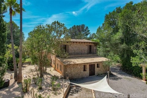 Finca i Arta, Mallorca, Arta - € 1.390.000 | Ref: 0002 - foto 38