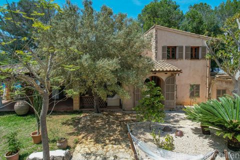 Finca i Arta, Mallorca, Arta - € 1.390.000 | Ref: 0002 - foto 40