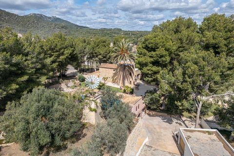 Villa i Felanitx, Mallorca - foto 5