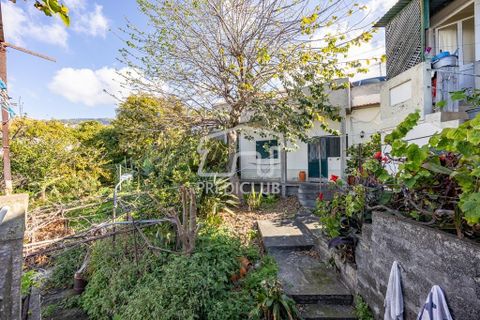 Villa a Funchal, Madeira, Funchal - € 620.000 | Ref: 11769-MA - foto 11