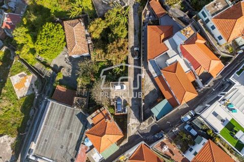 Villa a Funchal, Madeira, Funchal - € 620.000 | Ref: 11769-MA - foto 15