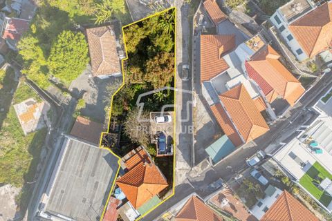 Villa a Funchal, Madeira, Funchal - € 620.000 | Ref: 11769-MA - foto 16