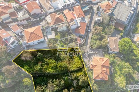 Villa a Funchal, Madeira, Funchal - € 620.000 | Ref: 11769-MA - foto 18