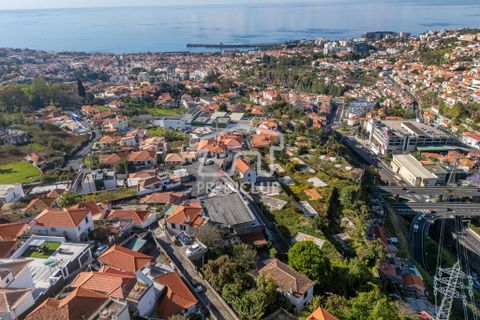 Villa a Funchal, Madeira, Funchal - € 620.000 | Ref: 11769-MA - foto 19