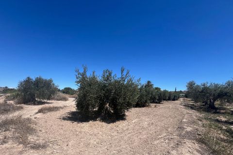 Landejendom i Arboleas, Almeria, Arboleas - € 199.950 | Ref: EAF-35342607 - foto 7