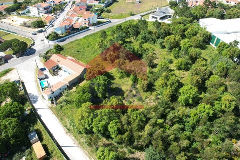 Terra a Gaeiras, Leiria, Gaeiras - € 195.000 | Ref: 150250107 - foto 3