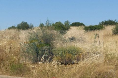 Terra a Serpa, Beja, Serpa - € 95.000 | Ref: SÒL_91 - foto 2