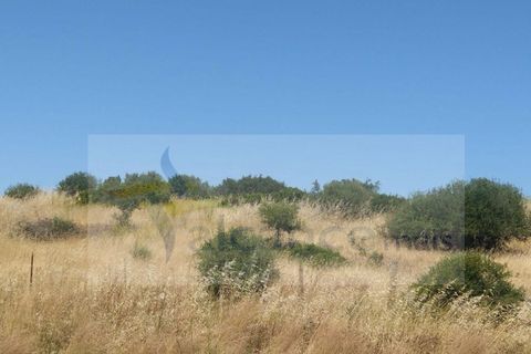 Terra a Serpa, Beja, Serpa - € 95.000 | Ref: SÒL_91 - foto 3