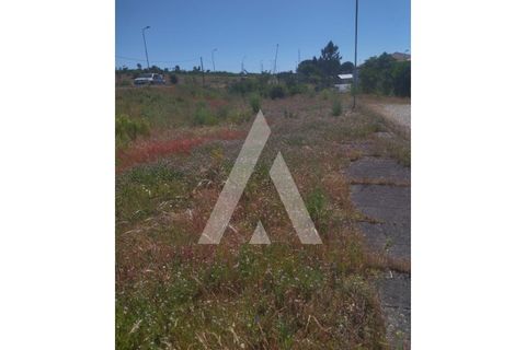 Helårsgrund i Darque, Viana do Castelo, Darque - € 300.000 | Ref: 1350188/25VC - foto 3