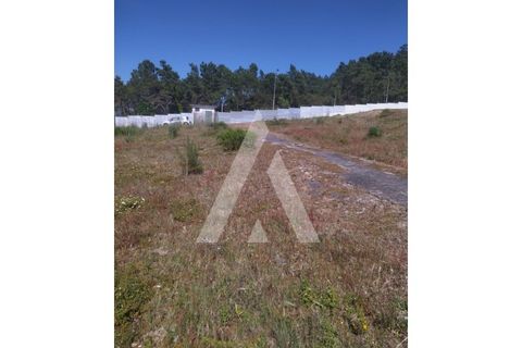 Helårsgrund i Darque, Viana do Castelo, Darque - € 300.000 | Ref: 1350185/25VC - foto 4