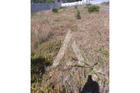 Helårsgrund i Darque, Viana do Castelo, Darque - € 300.000 | Ref: 1350185/25VC - foto 2