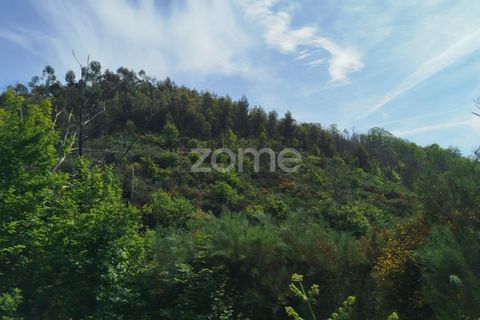 Helårsgrund i Seia, Guarda, Seia - € 50.000 | Ref: ZMPT577401 - foto 2