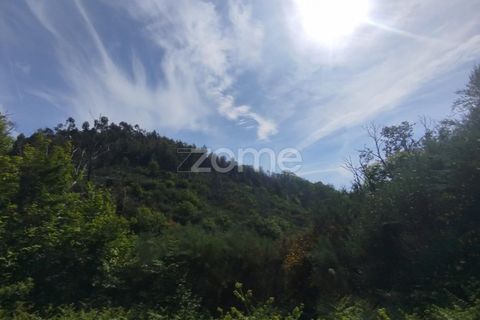 Helårsgrund i Seia, Guarda, Seia - € 50.000 | Ref: ZMPT577401 - foto 3