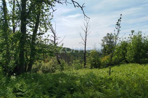 Helårsgrund i Seia, Guarda, Seia - € 50.000 | Ref: ZMPT577401 - foto 4