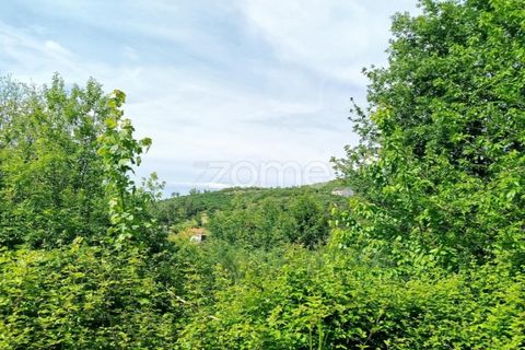 Helårsgrund i Seia, Guarda, Seia - € 50.000 | Ref: ZMPT577401 - foto 5
