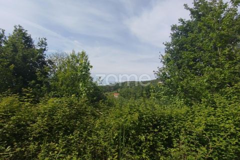 Helårsgrund i Seia, Guarda, Seia - € 50.000 | Ref: ZMPT577401 - foto 7