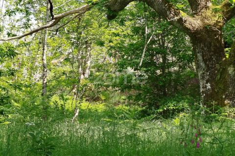Helårsgrund i Seia, Guarda, Seia - € 50.000 | Ref: ZMPT577401 - foto 8