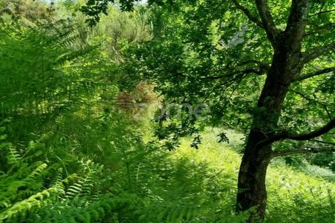 Helårsgrund i Seia, Guarda, Seia - € 50.000 | Ref: ZMPT577401 - foto 9