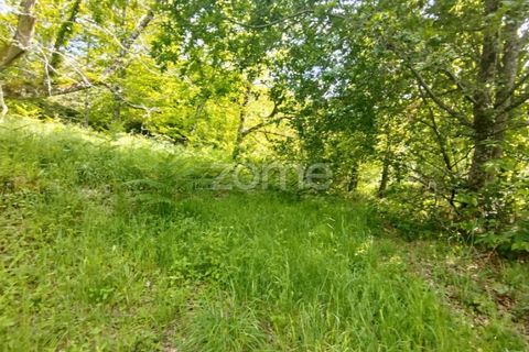 Helårsgrund i Seia, Guarda, Seia - € 50.000 | Ref: ZMPT577401 - foto 11