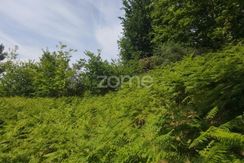 Helårsgrund i Seia, Guarda, Seia - € 50.000 | Ref: ZMPT577401 - foto 12
