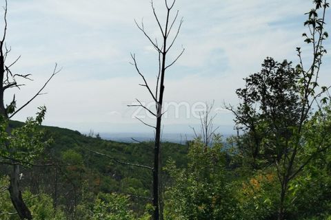 Helårsgrund i Seia, Guarda, Seia - € 50.000 | Ref: ZMPT577401 - foto 13