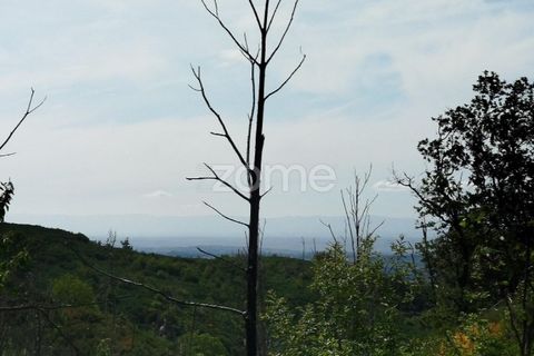 Helårsgrund i Seia, Guarda, Seia - € 50.000 | Ref: ZMPT577401 - foto 15