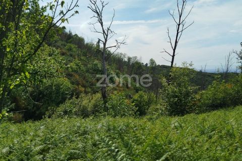 Helårsgrund i Seia, Guarda, Seia - € 50.000 | Ref: ZMPT577401 - foto 16