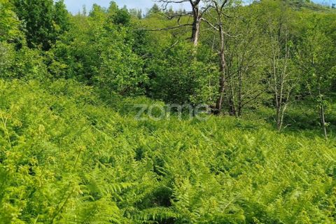 Helårsgrund i Seia, Guarda, Seia - € 50.000 | Ref: ZMPT577401 - foto 18