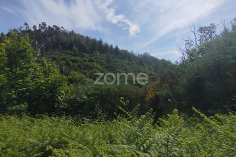 Helårsgrund i Seia, Guarda, Seia - € 50.000 | Ref: ZMPT577401 - foto 19