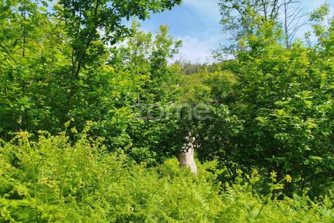 Helårsgrund i Seia, Guarda, Seia - € 50.000 | Ref: ZMPT577401 - foto 20