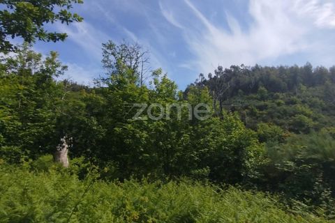 Helårsgrund i Seia, Guarda, Seia - € 50.000 | Ref: ZMPT577401 - foto 21