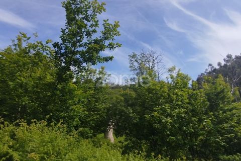 Helårsgrund i Seia, Guarda, Seia - € 50.000 | Ref: ZMPT577401 - foto 22