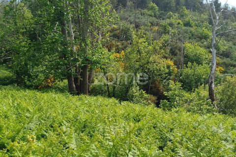 Helårsgrund i Seia, Guarda, Seia - € 50.000 | Ref: ZMPT577401 - foto 23