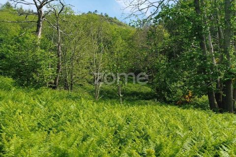 Helårsgrund i Seia, Guarda, Seia - € 50.000 | Ref: ZMPT577401 - foto 24