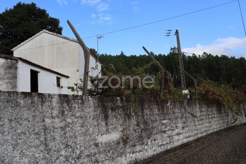 Villa i Cambas, Castelo Branco, Cambas - € 46.500 | Ref: ZMPT577047 - foto 12