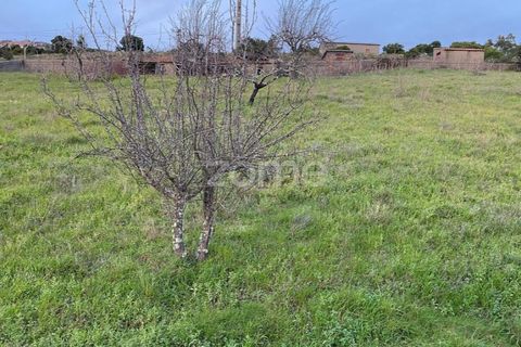 Terra a Cambas, Castelo Branco, Cambas - € 56.500 | Ref: ZMPT577054 - foto 4