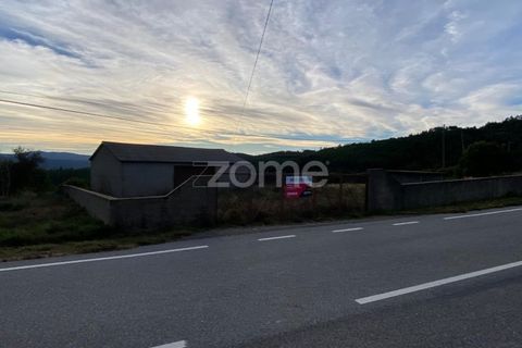 Terra a Cambas, Castelo Branco, Cambas - € 56.500 | Ref: ZMPT577054 - foto 7