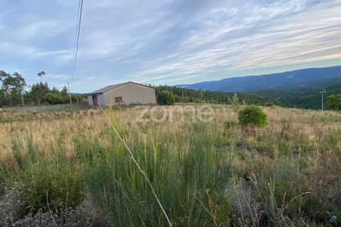 Terra a Cambas, Castelo Branco, Cambas - € 56.500 | Ref: ZMPT577054 - foto 5