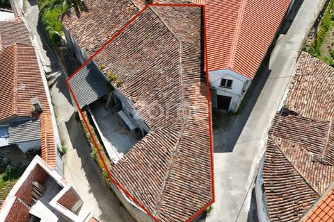 Villa i Miranda do Corvo, Coimbra, Miranda do Corvo - € 50.000 | Ref: ZMPT577078 - foto 6