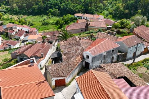 Villa i Miranda do Corvo, Coimbra, Miranda do Corvo - € 50.000 | Ref: ZMPT577078 - foto 17