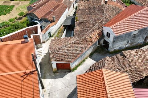 Villa i Miranda do Corvo, Coimbra, Miranda do Corvo - € 50.000 | Ref: ZMPT577078 - foto 16