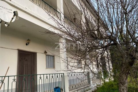 Villa i Cambas, Castelo Branco, Cambas - € 265.500 | Ref: ZMPT576237 - foto 11