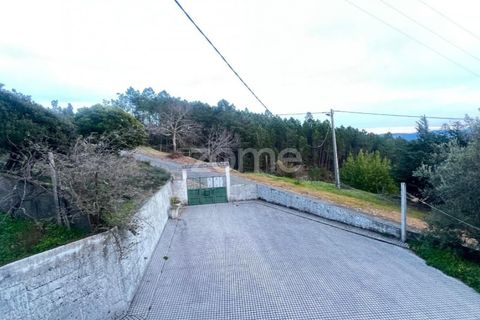 Villa i Cambas, Castelo Branco, Cambas - € 265.500 | Ref: ZMPT576237 - foto 13