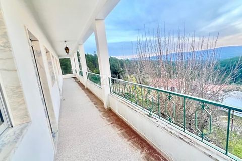 Villa i Cambas, Castelo Branco, Cambas - € 265.500 | Ref: ZMPT576237 - foto 32